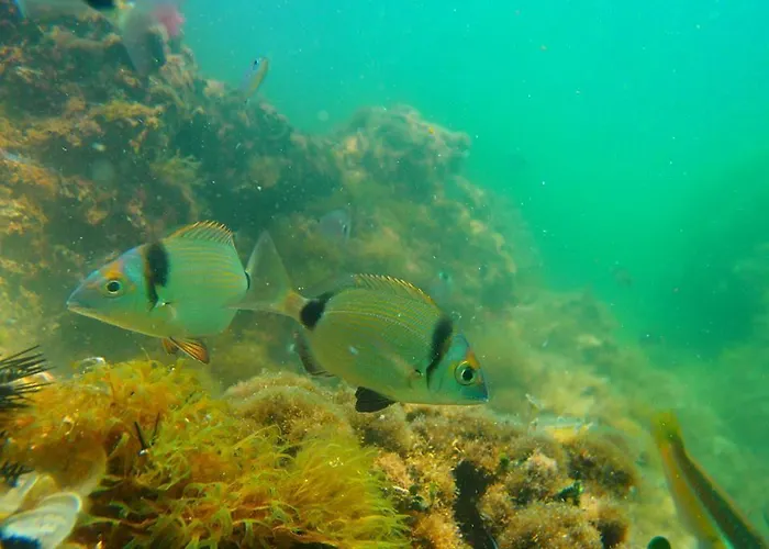 Lejlighed Agyra Limenaria (Thasos)